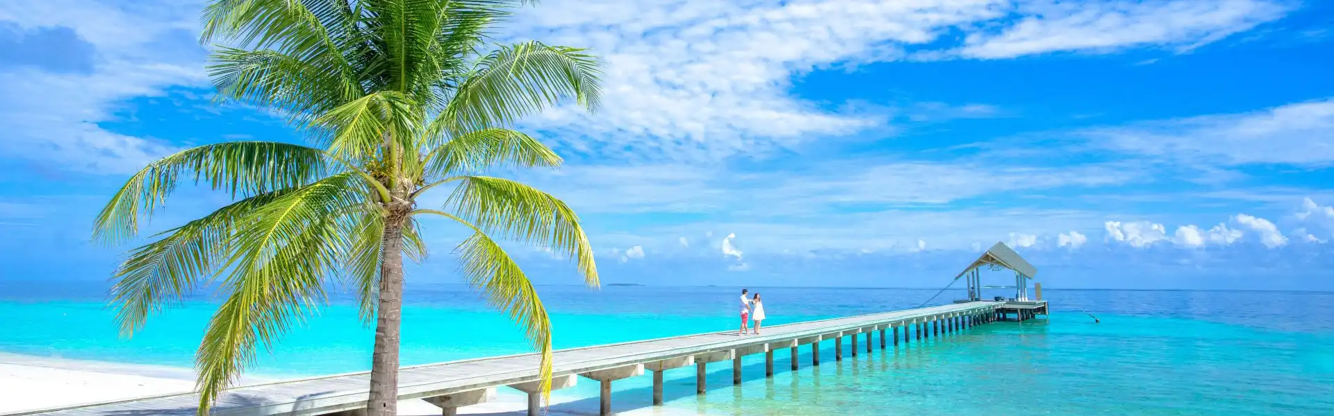 Angebot das ganze Jahr