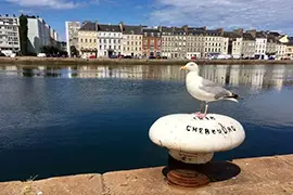Bild von Cherbourg