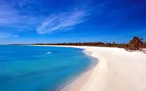 Bild von Cozumel Island