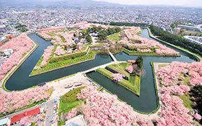 Bild von Hakodate