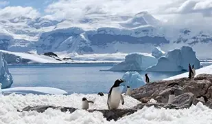 Bild von Antarktika