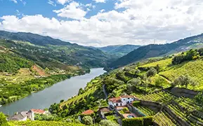 Bild von Douro