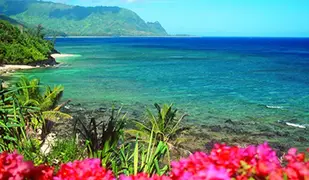 Bild von Hawaii