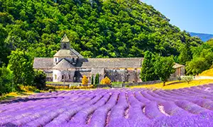 Bild von France