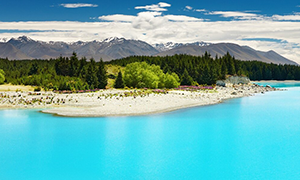 Bild von New Zealand