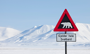 Bild von Svalbard