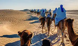 Bild von Tunisia
