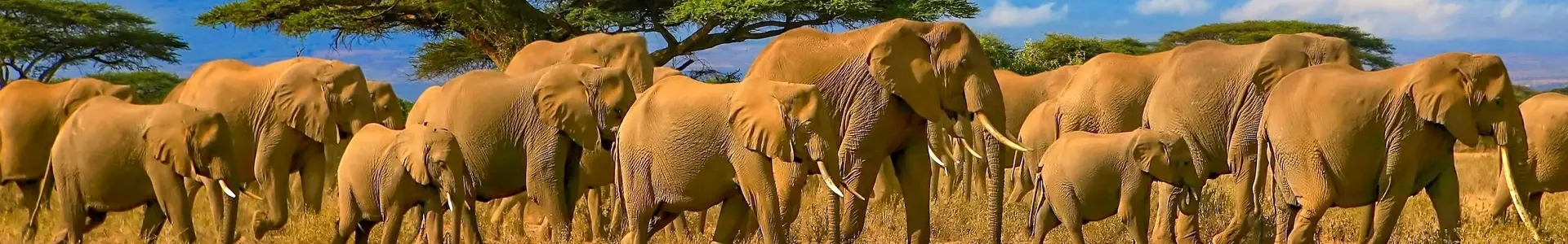 Kenya