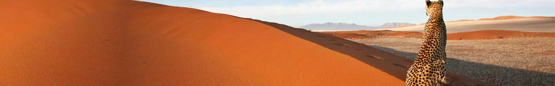 Westafrika