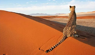 Westafrika