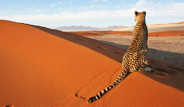 Westafrika